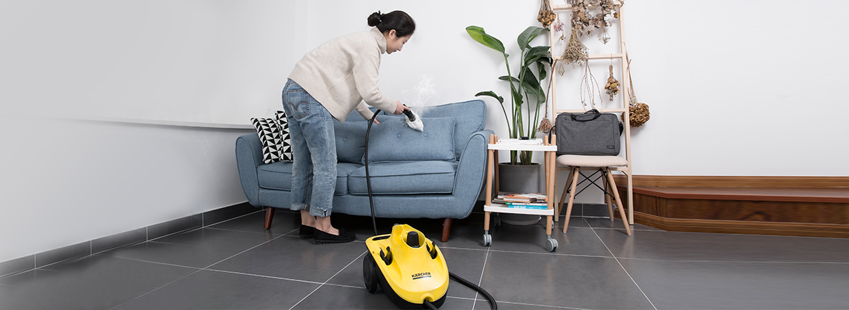 SC CTK 10 蒸汽清洁机