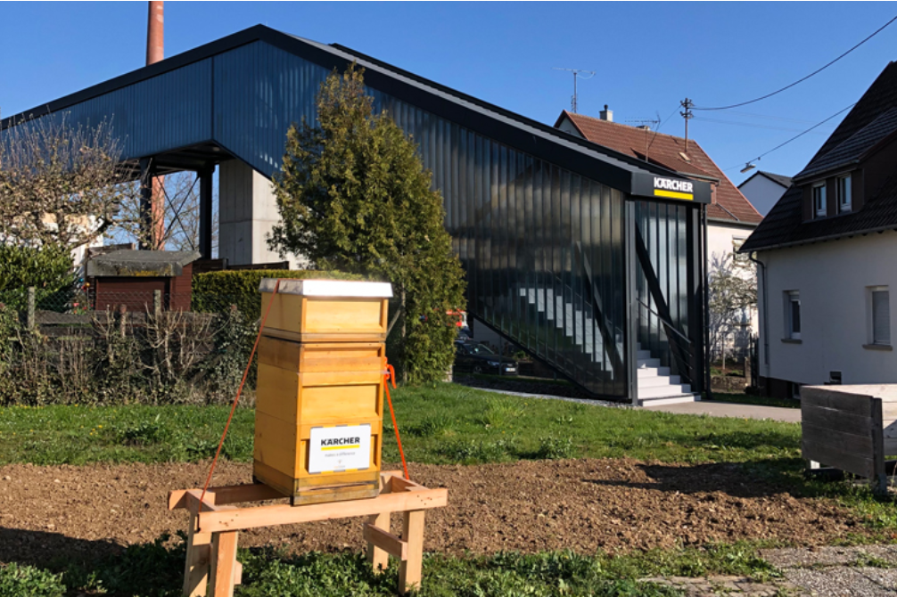 卡赫蜜蜂计划——在卡赫总部饲养Kärcher bees