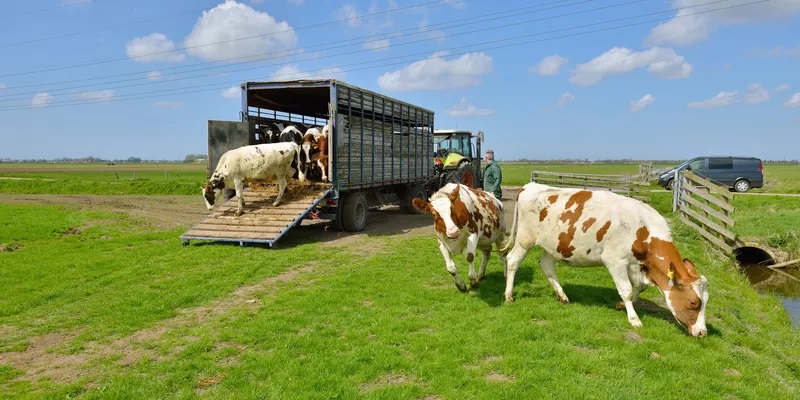 牲畜运输车辆清洗