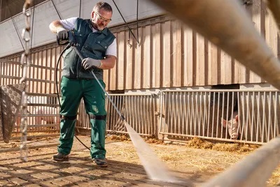 非洲猪瘟：通过清洁预防