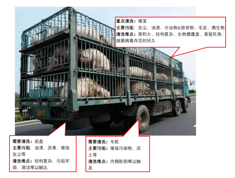 畜牧業清潔專題 | 第二期：生豬養殖運輸車輛清潔消毒，阻斷病原交叉傳播