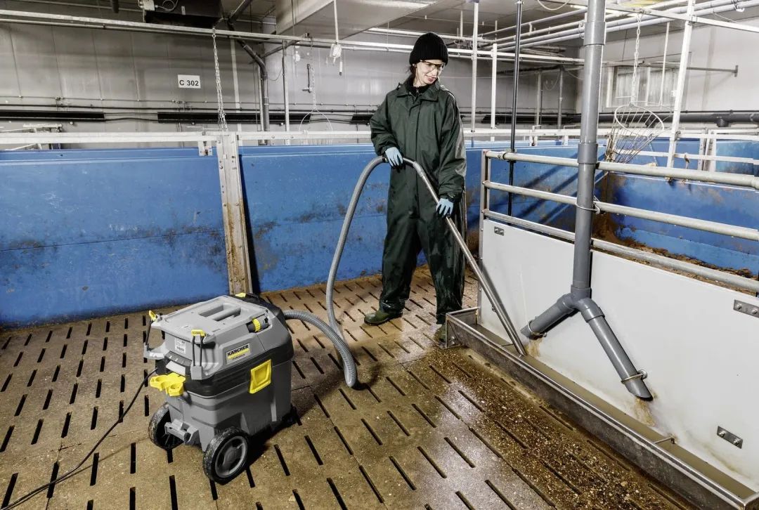 畜牧業清潔專題 | 第三期：卡赫專業清潔設備，做好豬舍清潔和消毒
