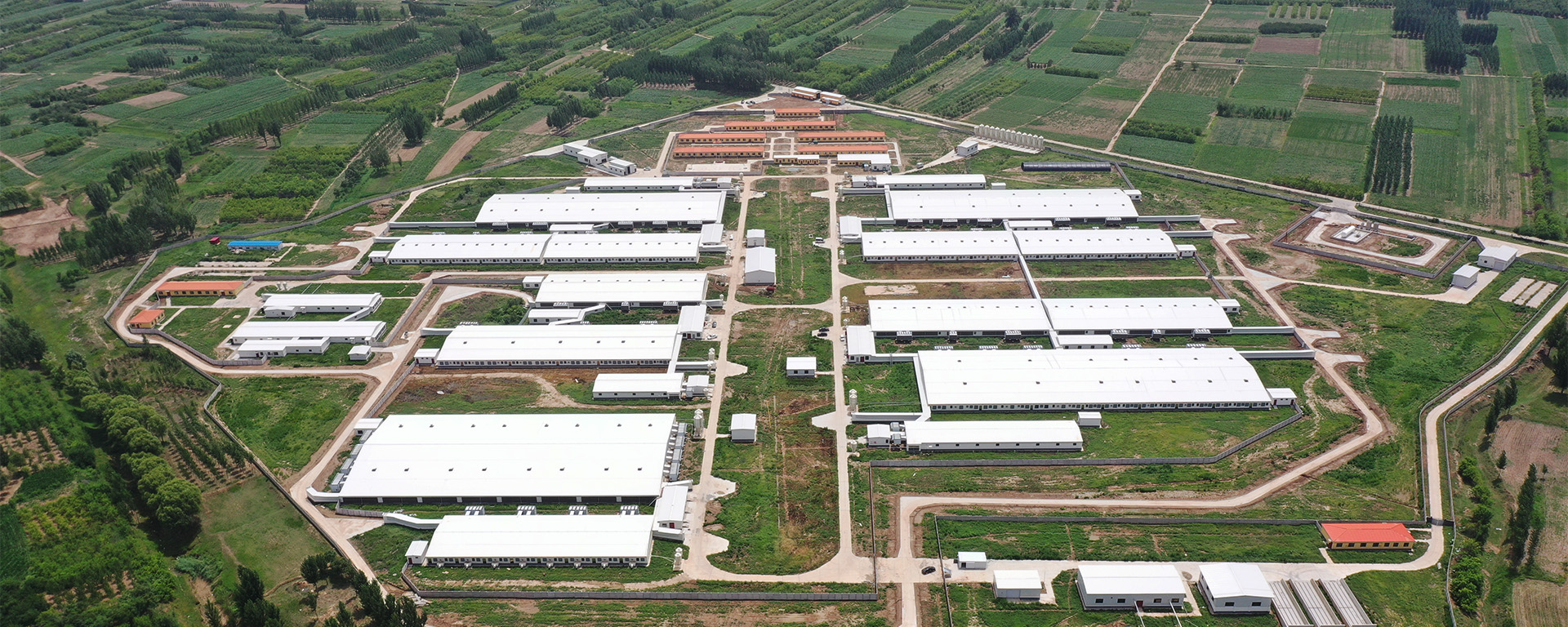 大北农沧县第一种猪场 中央集成式圈舍高压清洗消杀方案