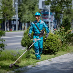 园林/市政/物业灌木修剪
